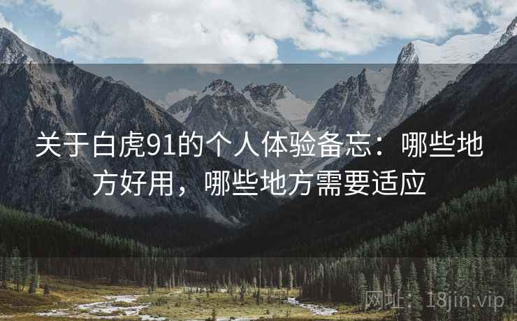 关于白虎91的个人体验备忘：哪些地方好用，哪些地方需要适应