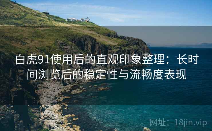 白虎91使用后的直观印象整理：长时间浏览后的稳定性与流畅度表现