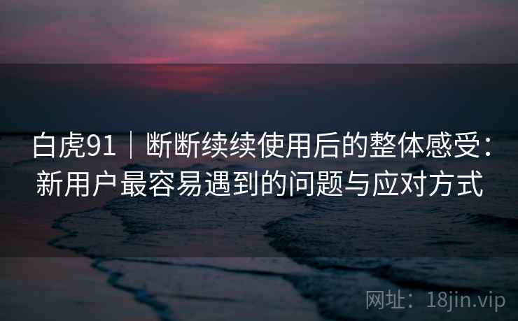 白虎91｜断断续续使用后的整体感受：新用户最容易遇到的问题与应对方式