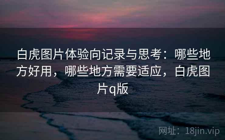 白虎图片体验向记录与思考：哪些地方好用，哪些地方需要适应，白虎图片q版