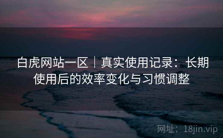 白虎网站一区｜真实使用记录：长期使用后的效率变化与习惯调整