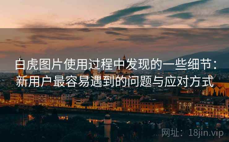 白虎图片使用过程中发现的一些细节：新用户最容易遇到的问题与应对方式