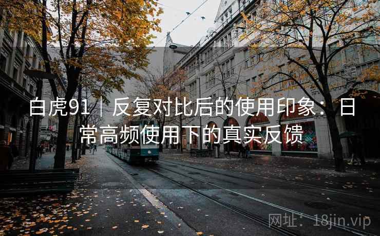 白虎91｜反复对比后的使用印象：日常高频使用下的真实反馈