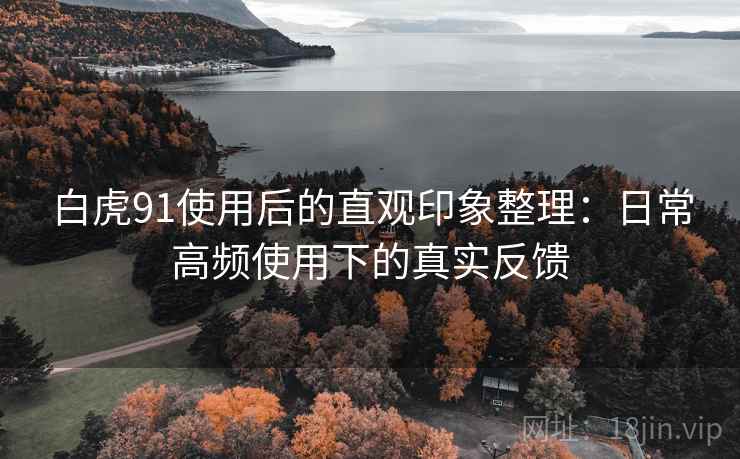 白虎91使用后的直观印象整理：日常高频使用下的真实反馈