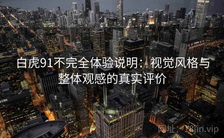 白虎91不完全体验说明：视觉风格与整体观感的真实评价