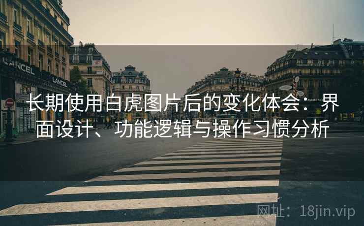长期使用白虎图片后的变化体会：界面设计、功能逻辑与操作习惯分析