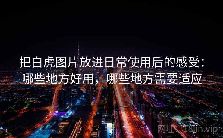 把白虎图片放进日常使用后的感受：哪些地方好用，哪些地方需要适应