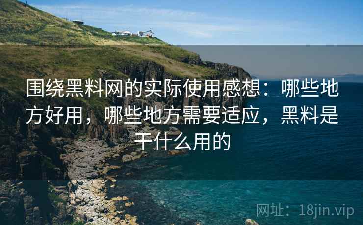 围绕黑料网的实际使用感想：哪些地方好用，哪些地方需要适应，黑料是干什么用的