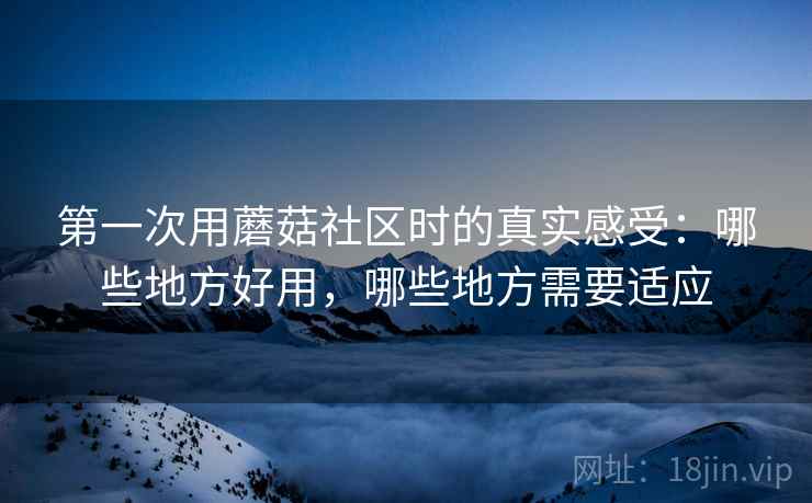 第一次用蘑菇社区时的真实感受：哪些地方好用，哪些地方需要适应