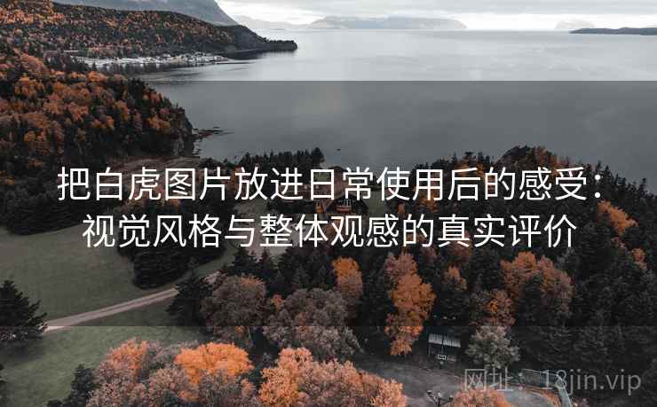 把白虎图片放进日常使用后的感受：视觉风格与整体观感的真实评价