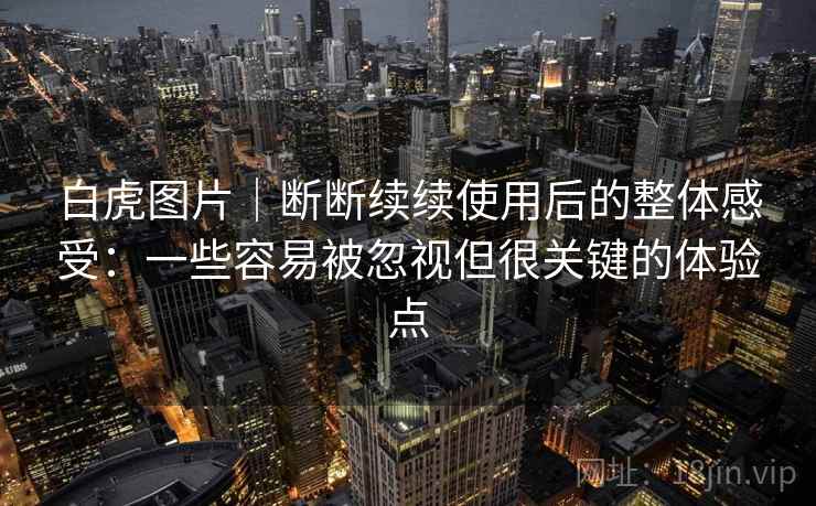 白虎图片｜断断续续使用后的整体感受：一些容易被忽视但很关键的体验点