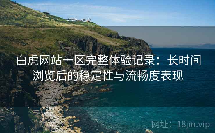白虎网站一区完整体验记录：长时间浏览后的稳定性与流畅度表现