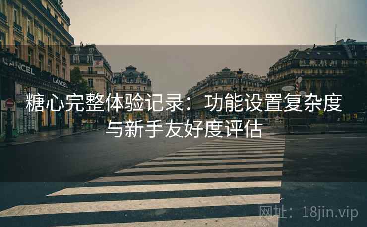 糖心完整体验记录：功能设置复杂度与新手友好度评估