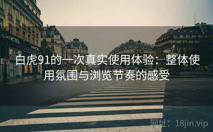 白虎91的一次真实使用体验：整体使用氛围与浏览节奏的感受