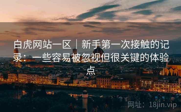 白虎网站一区｜新手第一次接触的记录：一些容易被忽视但很关键的体验点