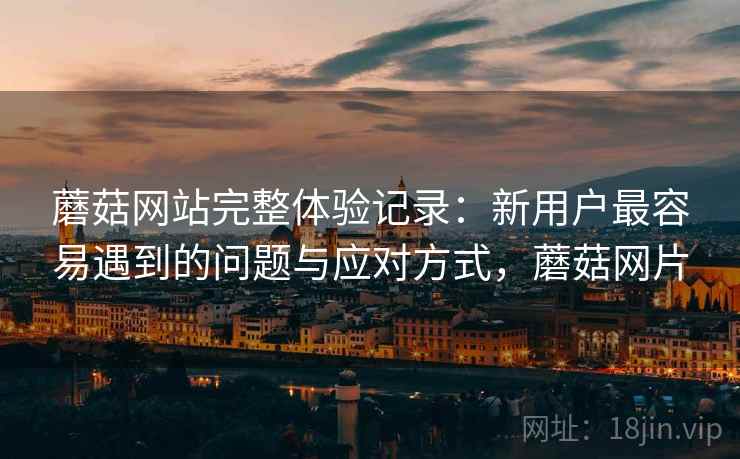 蘑菇网站完整体验记录：新用户最容易遇到的问题与应对方式，蘑菇网片