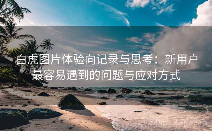 白虎图片体验向记录与思考:新用户最容易遇到的问题与应对方式 白虎图片体验向记录与思考:新用户最容易遇到的问题与应对方式