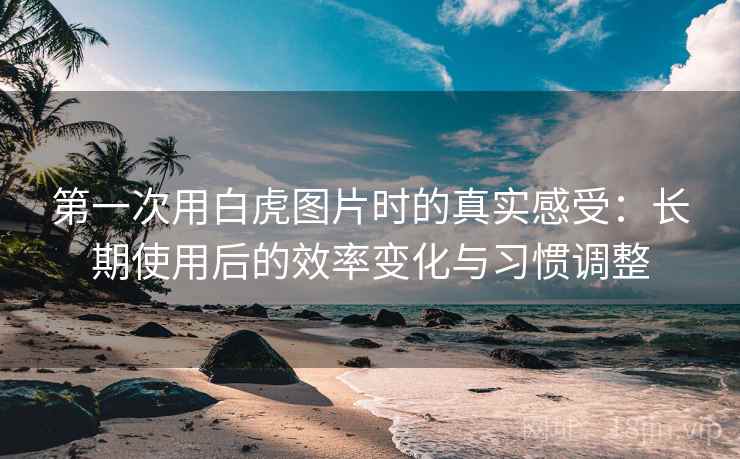 第一次用白虎图片时的真实感受:长期使用后的效率变化与习惯调整 第一次用白虎图片时的真实感受:长期使用后的效率变化与习惯调整