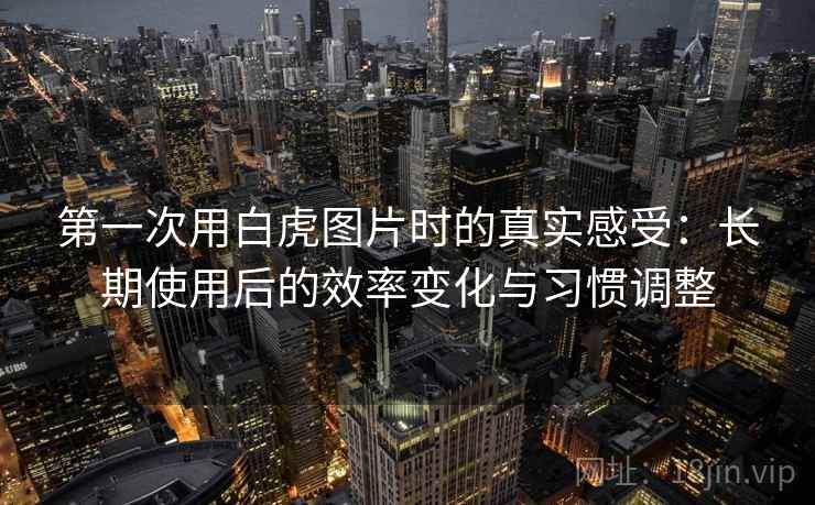 第一次用白虎图片时的真实感受：长期使用后的效率变化与习惯调整