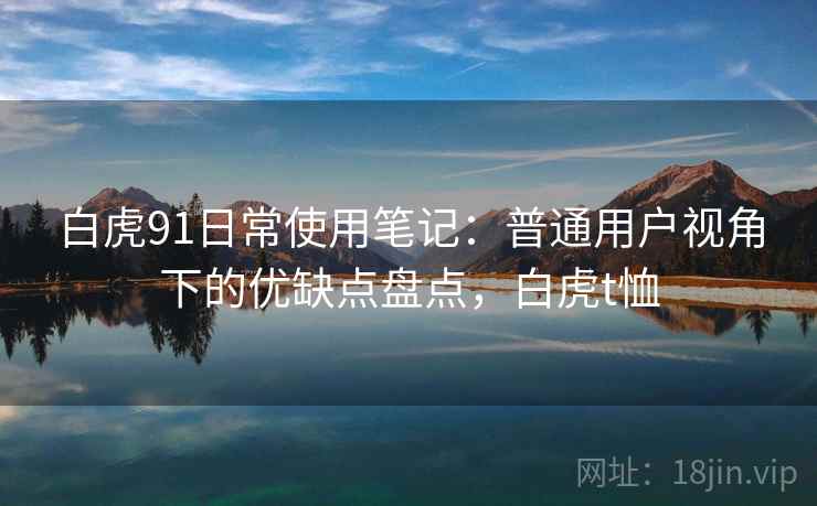 白虎91日常使用笔记：普通用户视角下的优缺点盘点，白虎t恤