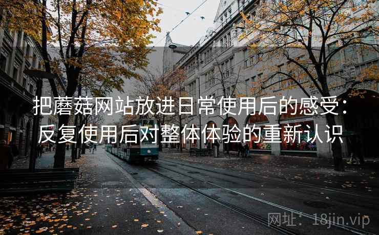 把蘑菇网站放进日常使用后的感受：反复使用后对整体体验的重新认识