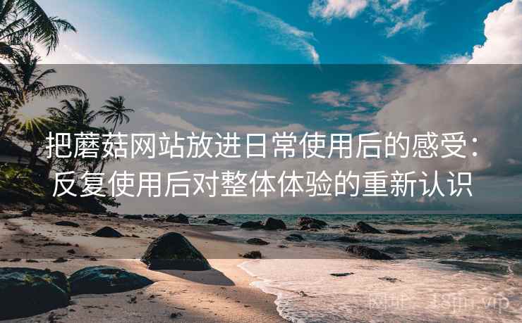 把蘑菇网站放进日常使用后的感受：反复使用后对整体体验的重新认识